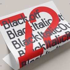 Baroque Grotesk Typeface (72 Fonts)