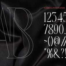 barque-modern-vague-editorial-font-rasio-std-6.jpg
