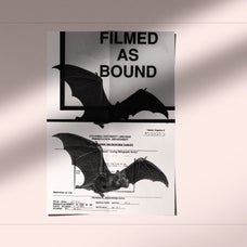 Bats of the World