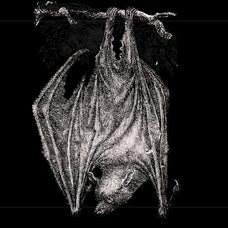 Bats of the World