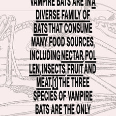 Bats of the World