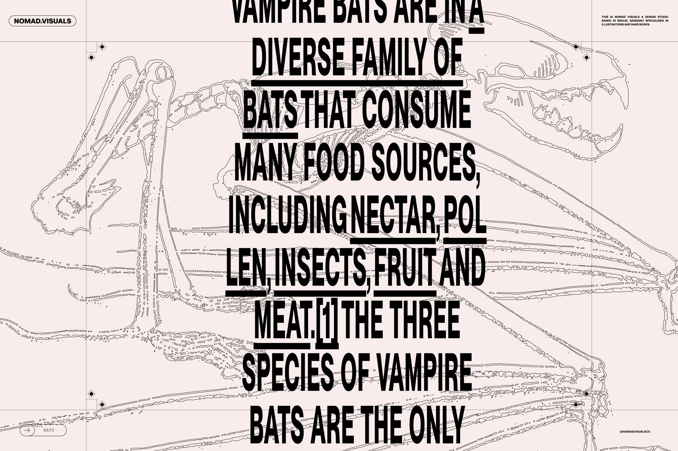 Bats of the World