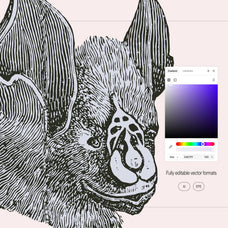 Bats of the World