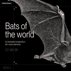 Bats of the World