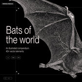 Bats of the World