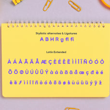 baugy-fun-display-logo-font-rasio-std-3.jpg