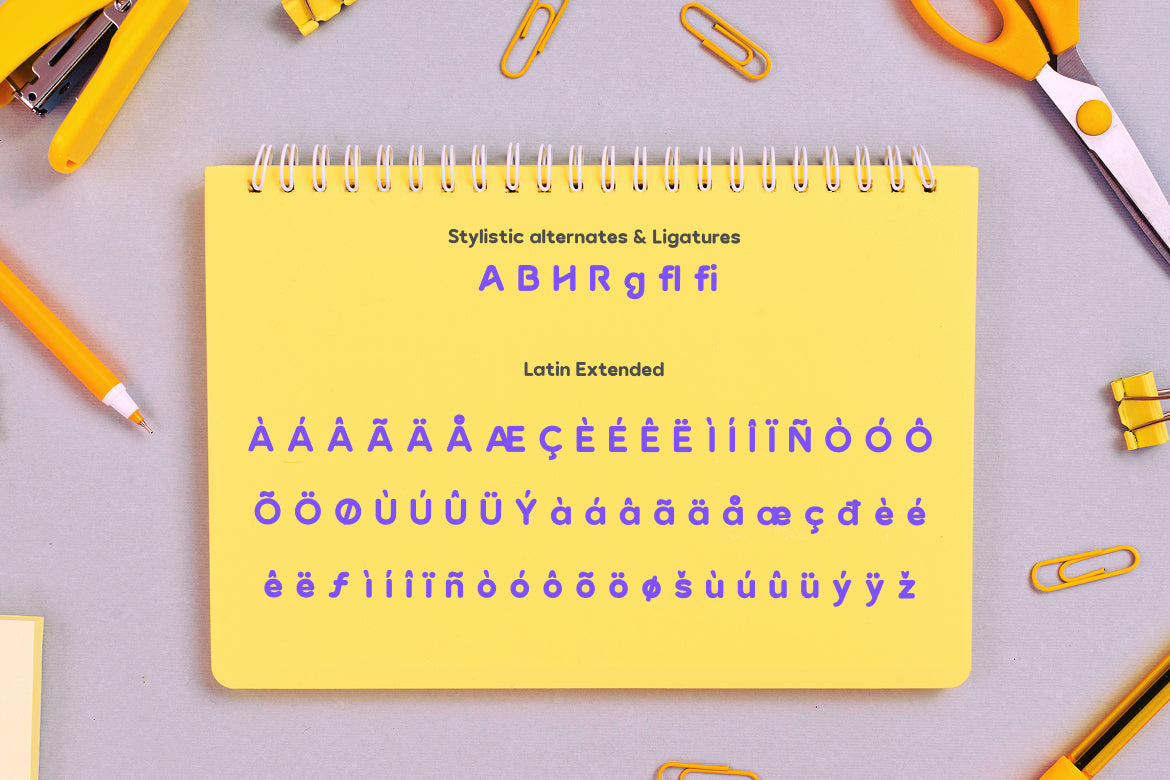 baugy-fun-display-logo-font-rasio-std-3.jpg