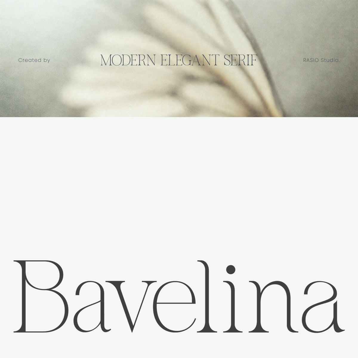 bavelina-modern-elegant-serif-font-rasio-std-1.jpg