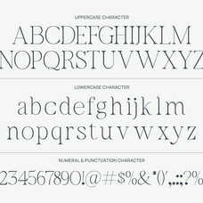 bavelina-modern-elegant-serif-font-rasio-std-2.png