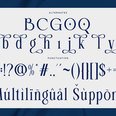 beauty-luxury-serif-font-ghaleria-fontliner-10.png