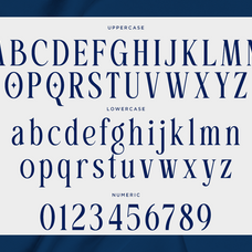 beauty-luxury-serif-font-ghaleria-fontliner-9.png