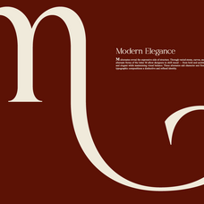 bela-serfane-modern-elegant-serif-font-rasio-std-4.png