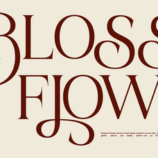 bela-serfane-modern-elegant-serif-font-rasio-std-5.png