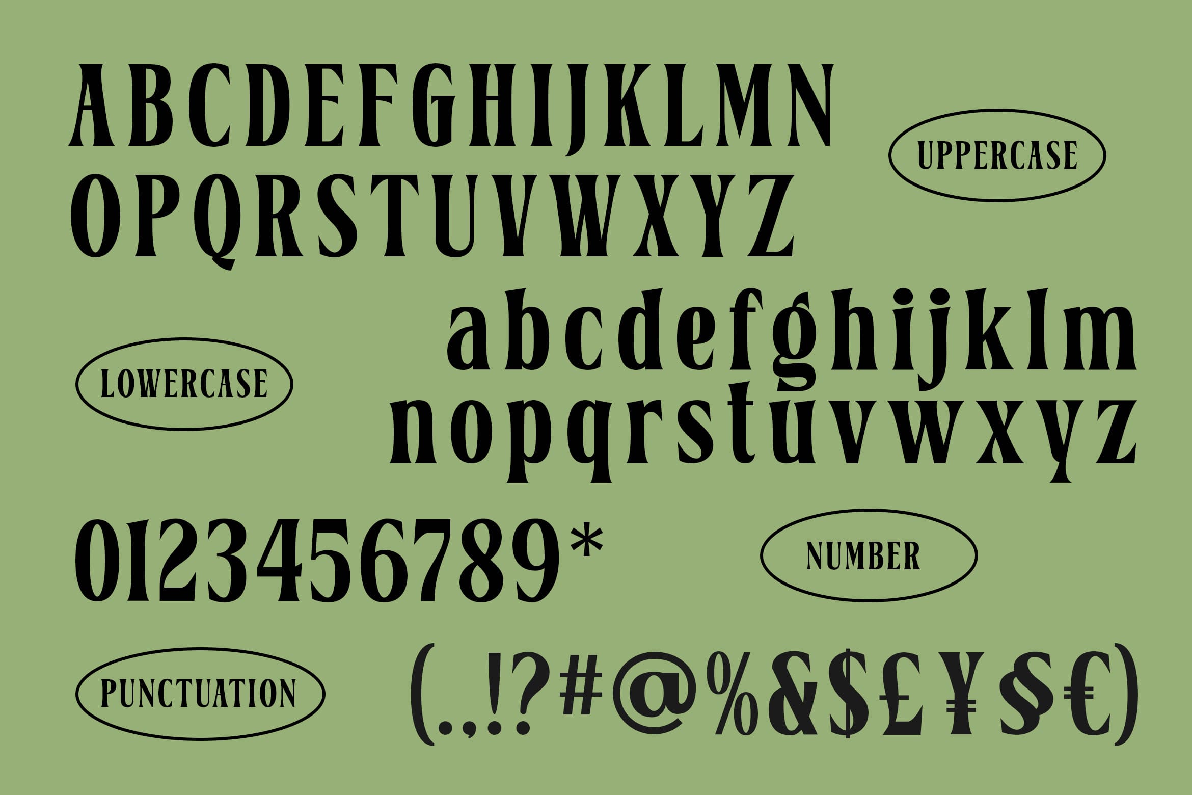 belgino-modern-stylish-serif-font-blankids-10.jpg