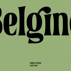 belgino-modern-stylish-serif-font-blankids-2.jpg