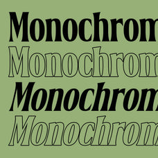 belgino-modern-stylish-serif-font-blankids-3.jpg