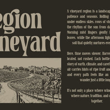 belgino-modern-stylish-serif-font-blankids-9.jpg