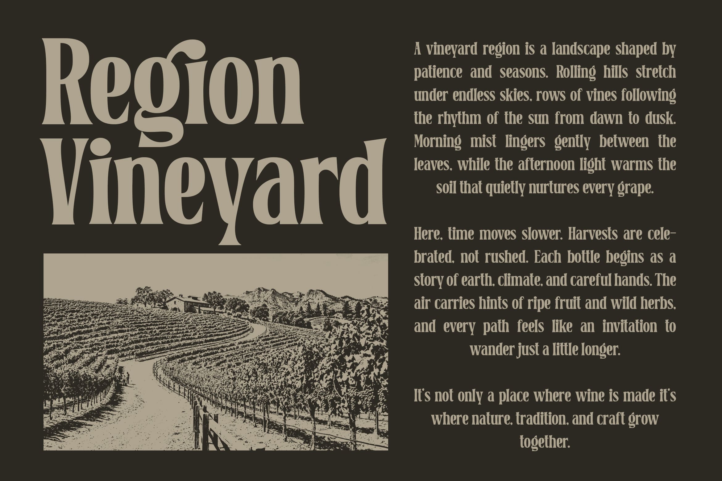 belgino-modern-stylish-serif-font-blankids-9.jpg