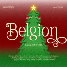 belgion-modern-elegant-font-casloop-studio-1.jpg