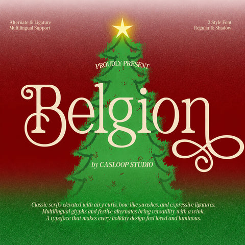 Belgion - Modern Elegant Font