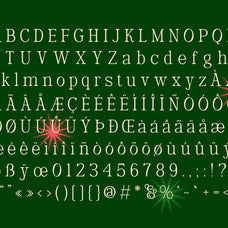 belgion-modern-elegant-font-casloop-studio-4.jpg