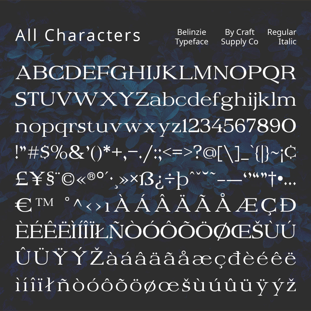 belinzie-serif-typeface-craft-supply-co-8.jpg