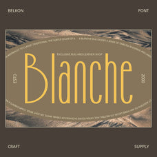 belkon-art-deco-font-craft-supply-co-2.jpg