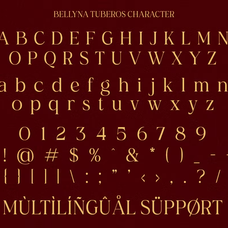 bellyna-tuberos-stylish-ligature-serif-font-ragamkata-studio-9.png