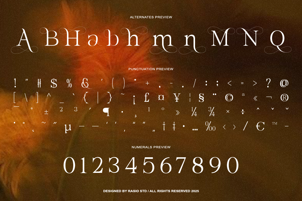 belmora-elegant-luxury-serif-typeface-font-rasio-std-3.png