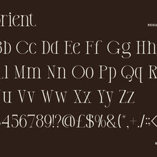 belorient-elegant-condensed-serif-font-unknown-creator-2.jpg
