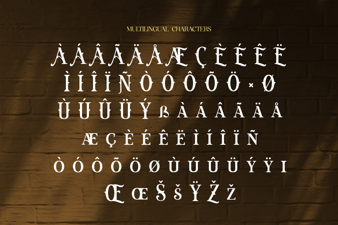 belvedro-elegant-serif-typeface-font-brandearth-studio-3.jpg