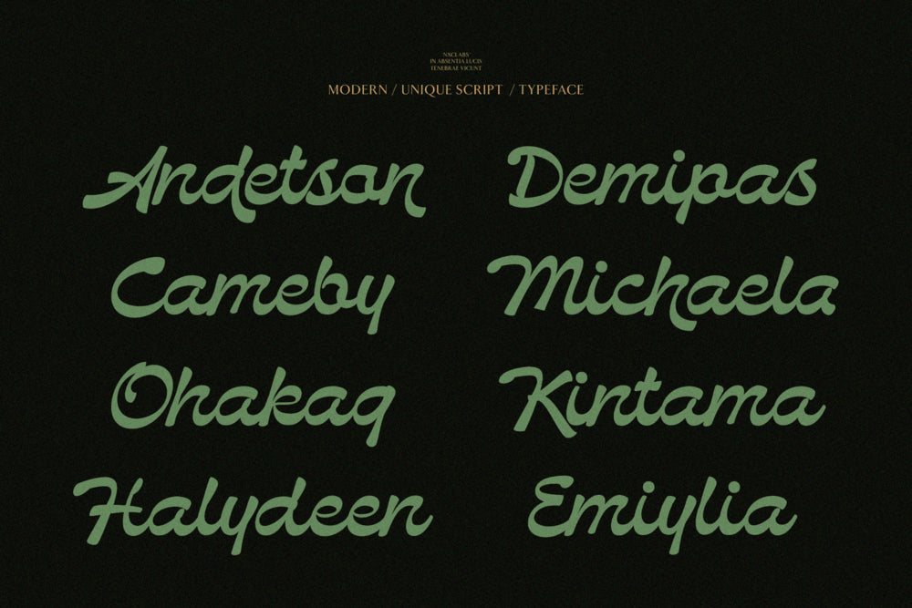 bendstag-modern-elegant-script-font-unknown-creator-29.png