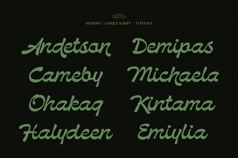 bendstag-modern-elegant-script-font-unknown-creator-29.png