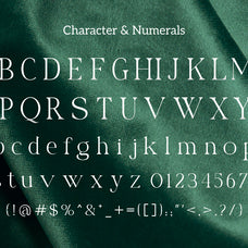 benedra-modern-serif-font-vadova-studio-2.jpg