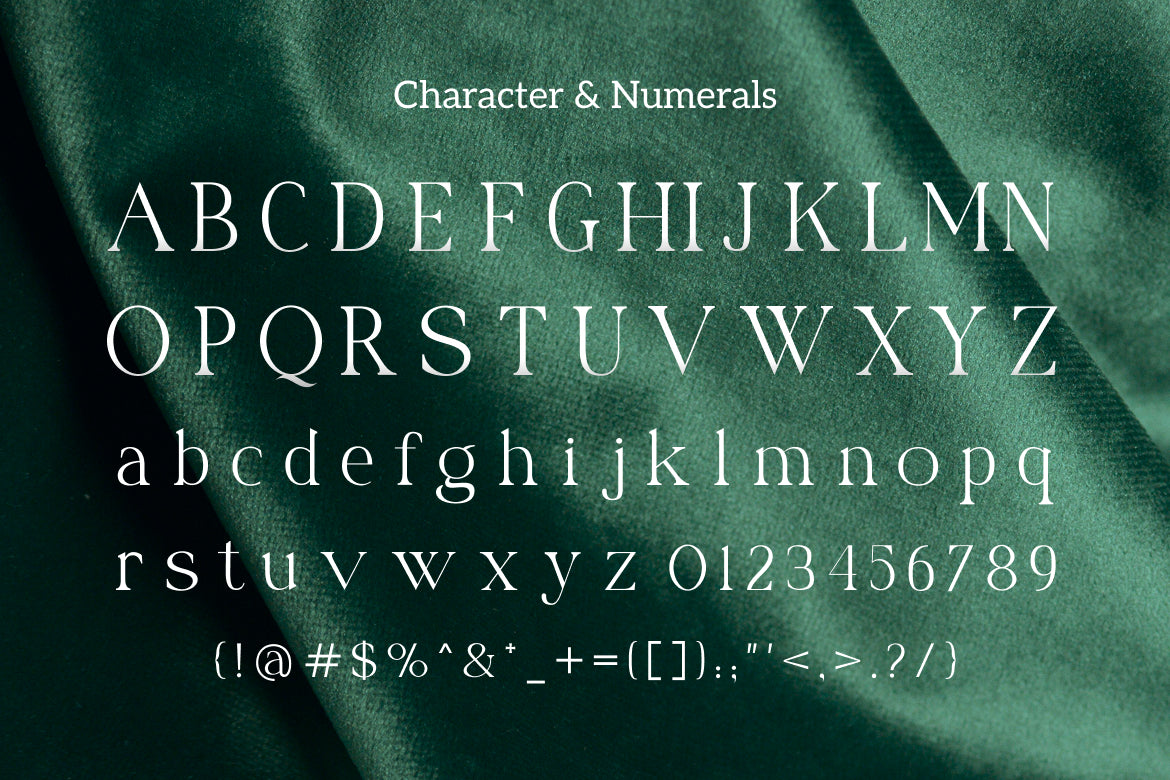benedra-modern-serif-font-vadova-studio-2.jpg