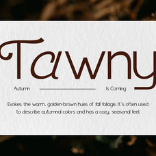 benomore-elegant-display-font-vadova-studio-3.jpg