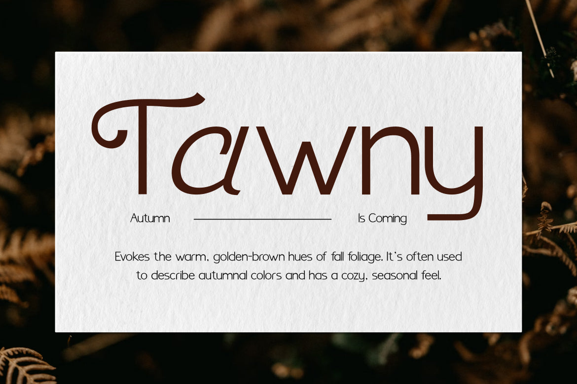 benomore-elegant-display-font-vadova-studio-3.jpg