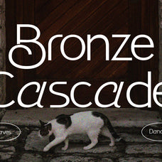 benomore-elegant-display-font-vadova-studio-4.jpg