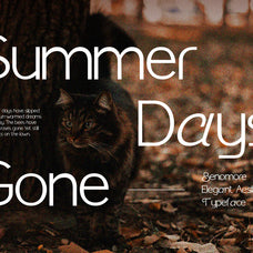 benomore-elegant-display-font-vadova-studio-5.jpg