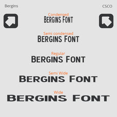 bergins-grotesque-sans-serif-craft-supply-co-2.jpg