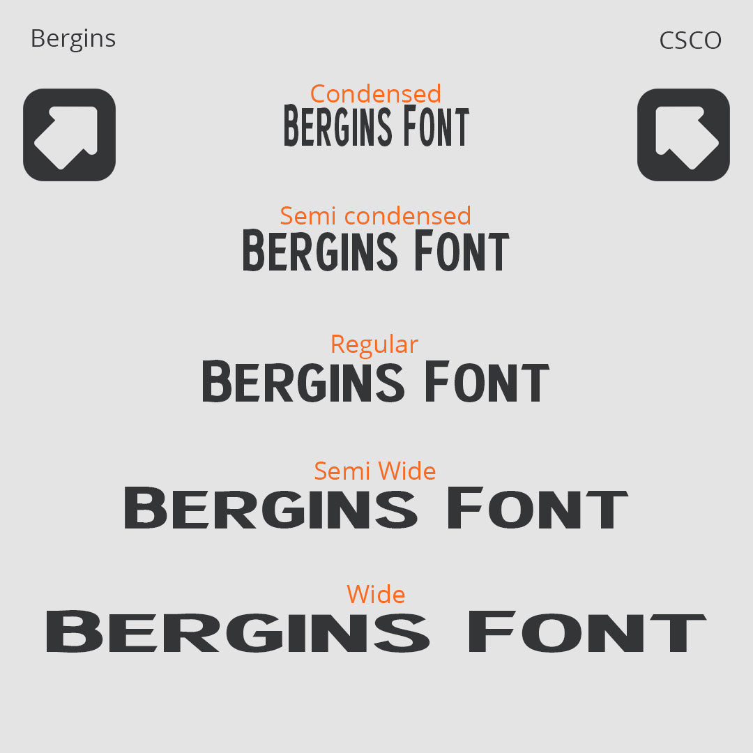 bergins-grotesque-sans-serif-craft-supply-co-2.jpg