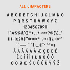 bergins-grotesque-sans-serif-craft-supply-co-8.jpg