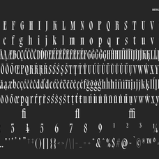 bersa-serif-narrow-serif-jolicia-type-13.png