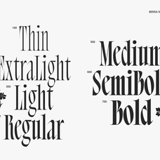 bersa-serif-narrow-serif-jolicia-type-2.png