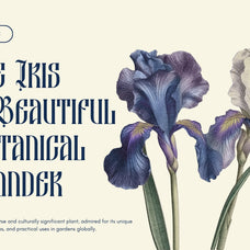 besquen-modern-gothic-typeface-font-unknown-creator-7.jpg