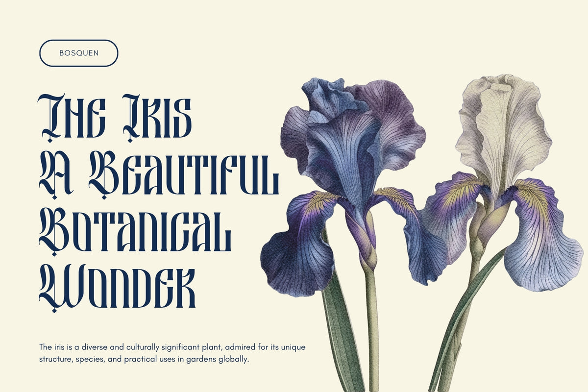 besquen-modern-gothic-typeface-font-unknown-creator-7.jpg