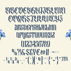 besquen-modern-gothic-typeface-font-unknown-creator-9.jpg