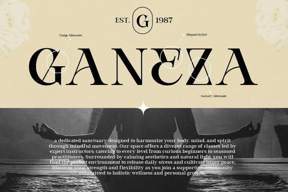 bevola-modern-elegant-serif-font-unknown-creator-4.png
