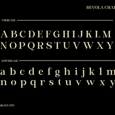 bevola-modern-elegant-serif-font-unknown-creator-7.png