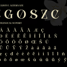 bevola-modern-elegant-serif-font-unknown-creator-8.png